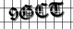 Image Verification Code