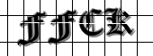 Image Verification Code