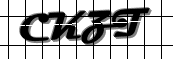Image Verification Code