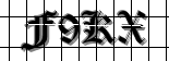 Image Verification Code